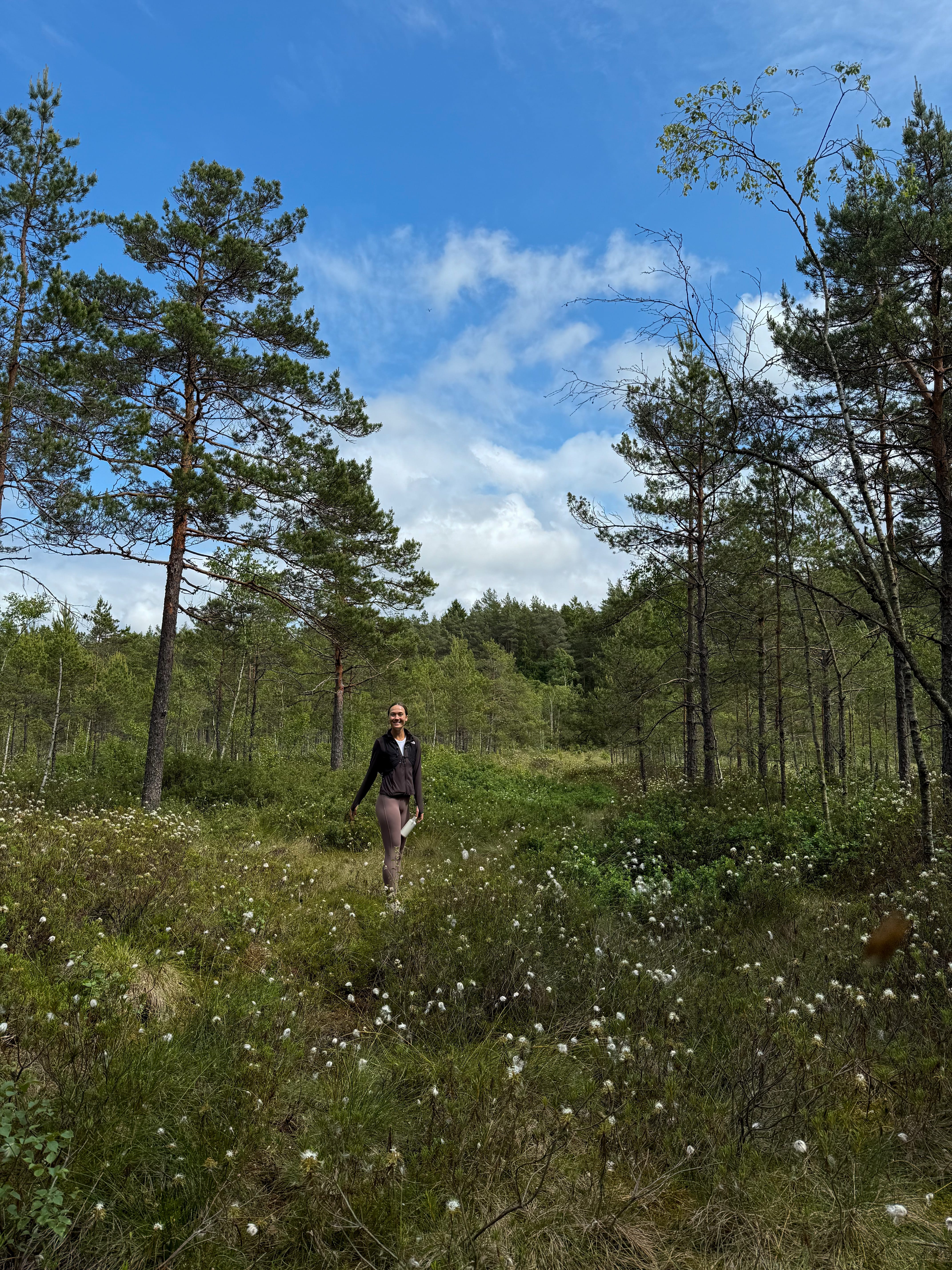 poilsis be telefonų